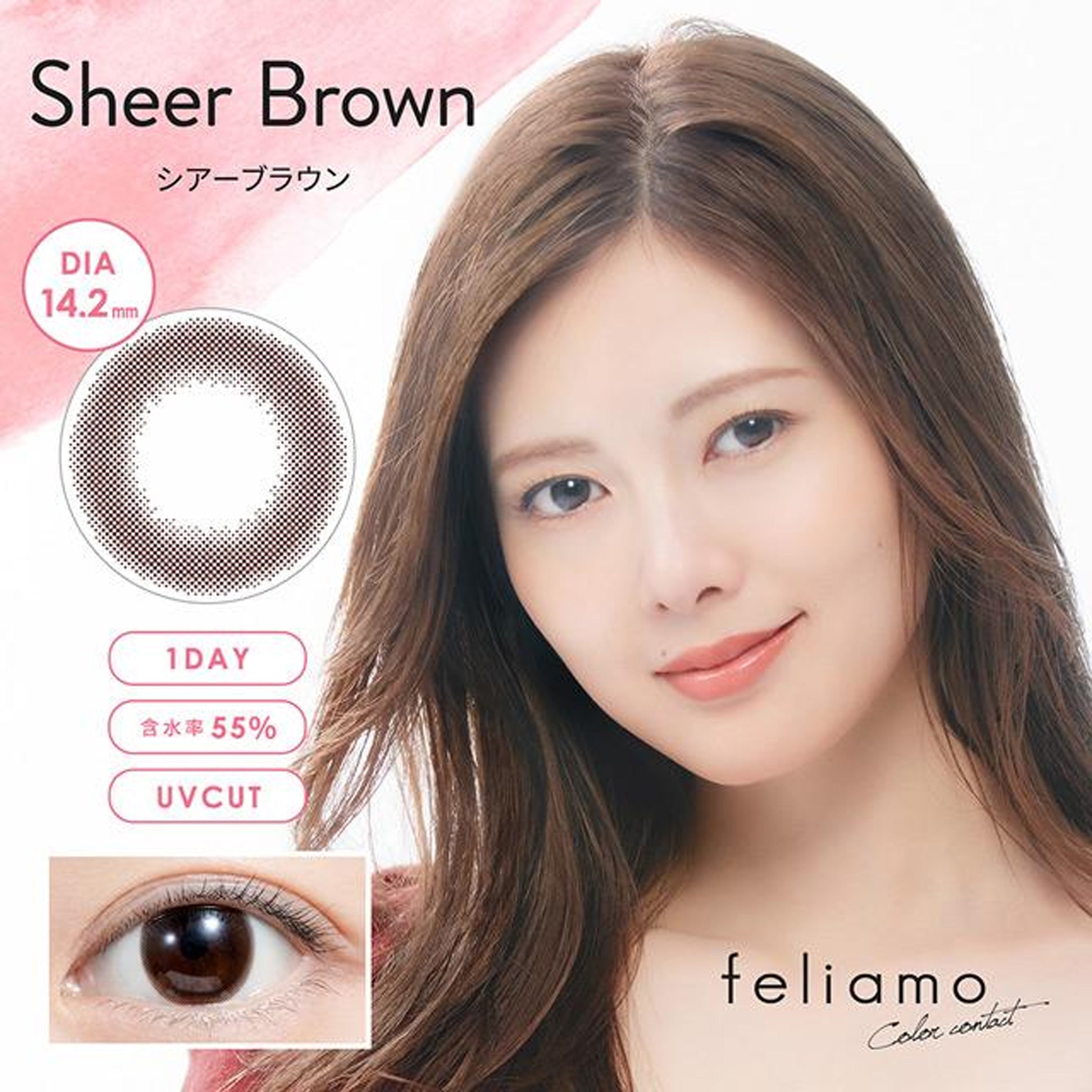 Feliamo 1Day Contact Lenses-Sheer Brown 10pcs