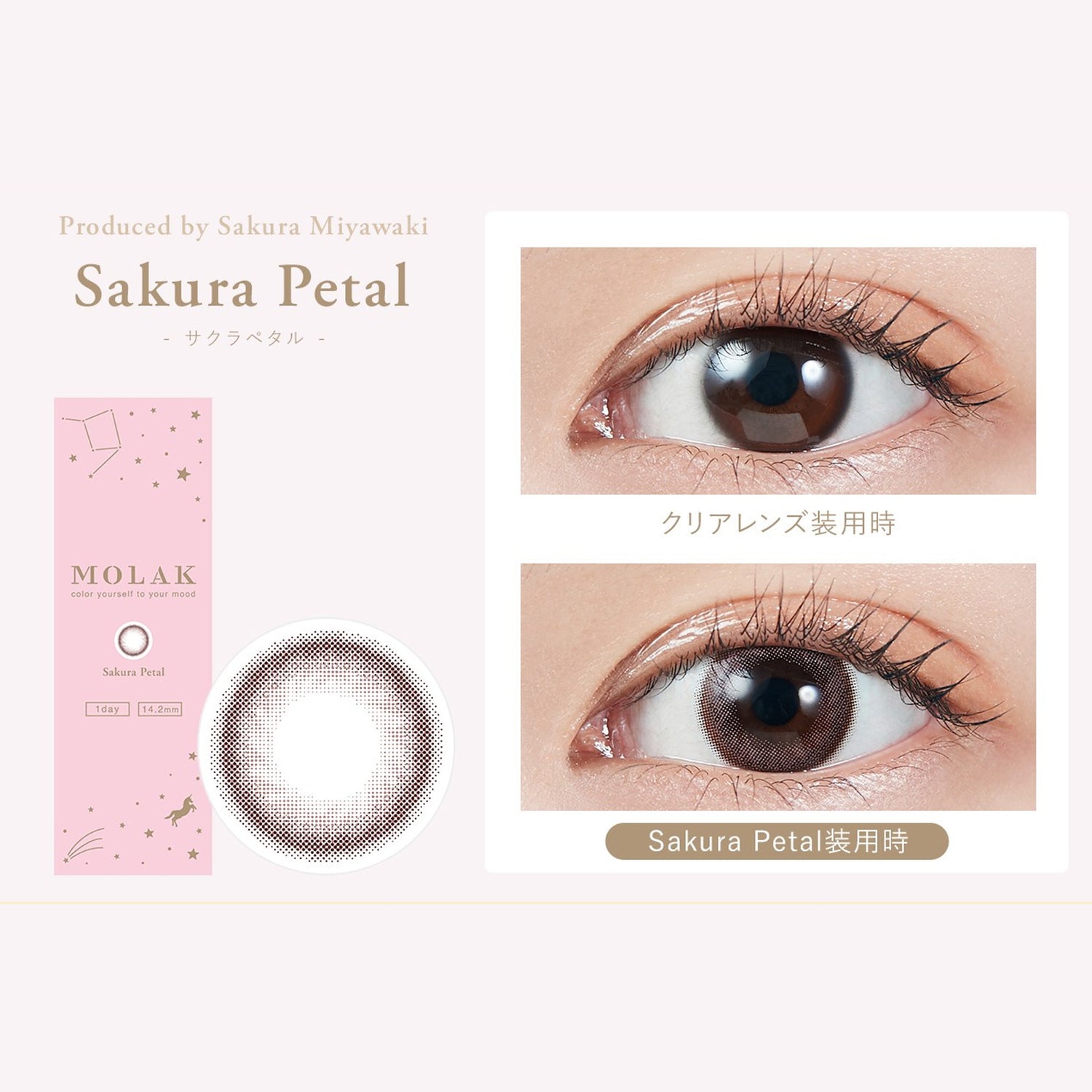 MOLAK 1Day Contact Lenses-Sakura Petal 10pcs