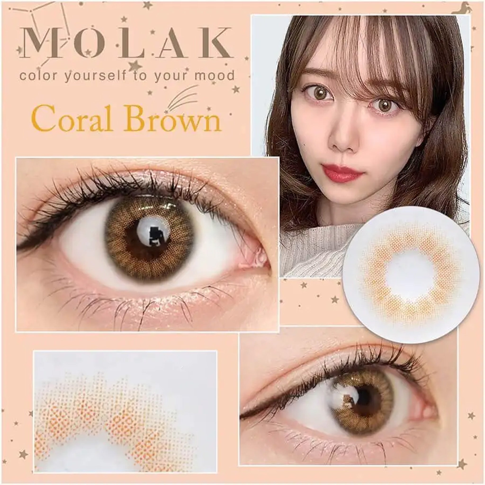 MOLAK 1Day Contact Lenses-Coral Brown 10pcs