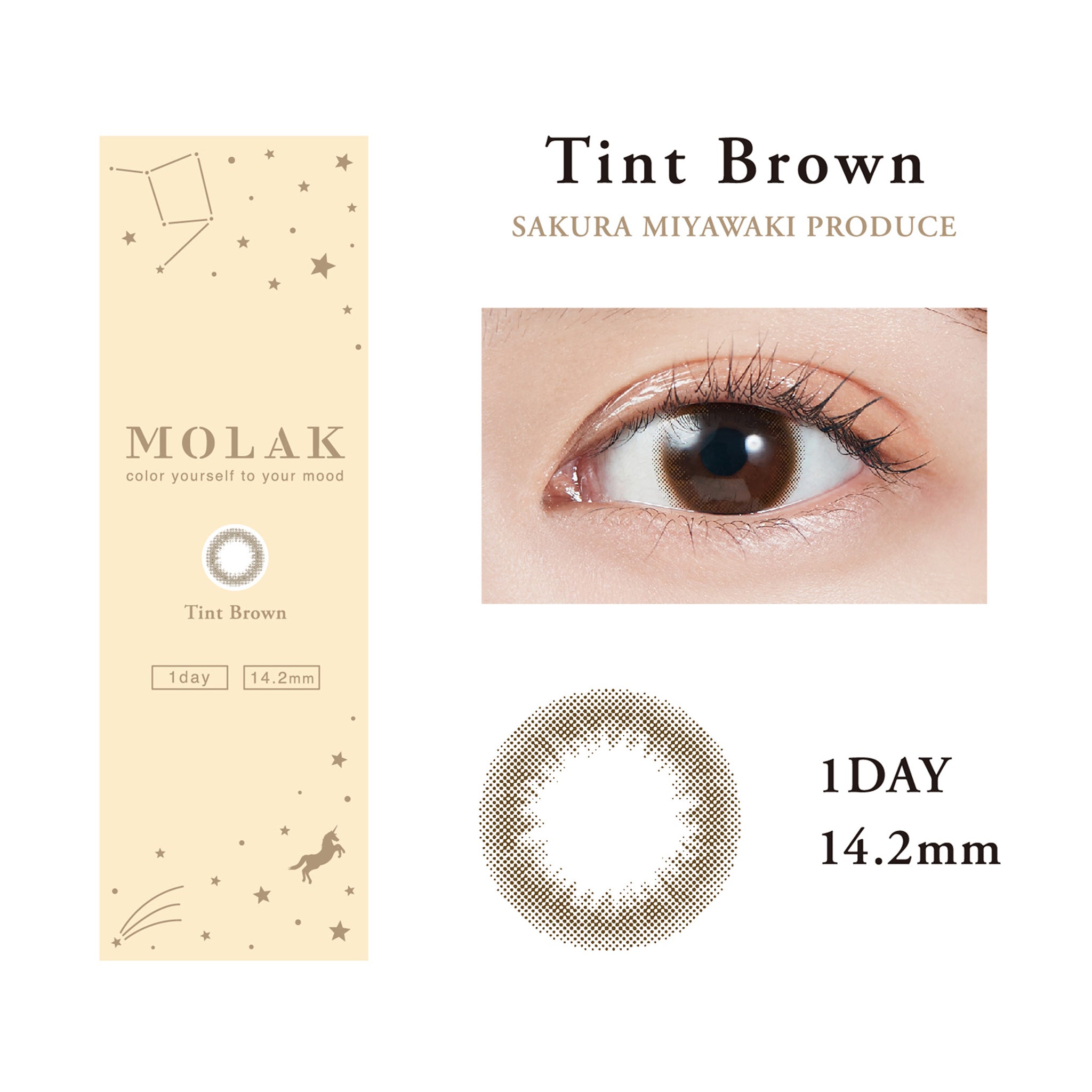 MOLAK 1Day Contact Lenses-Tint Brown 10pcs