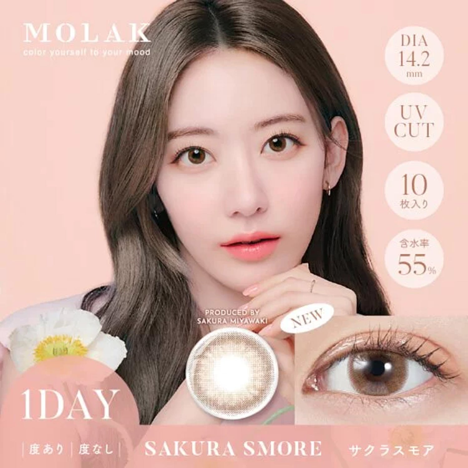 MOLAK 【Color Contacts/1-Day/Prescription, Non- Prescription/10 Lenses】 ｜  DOKODEMO