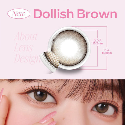 MOLAK 1Day Contact Lenses-Dollish Brown 10pcs