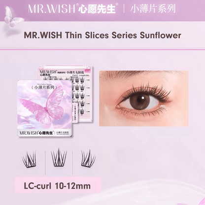 MR.WISH Thin Slices Series Sunflower