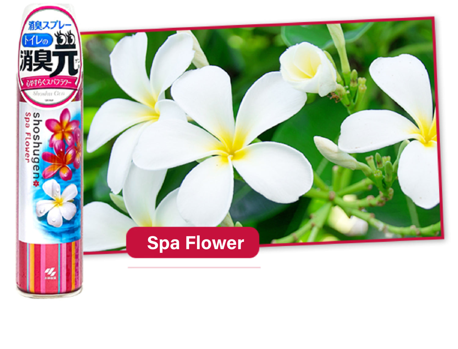 KOBAYASHI Toilet deodorant aroma spray 280ml